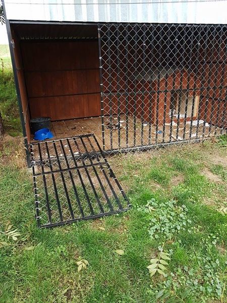 Brawo on- dziś już 3:0 dla Loka i Dragi :D